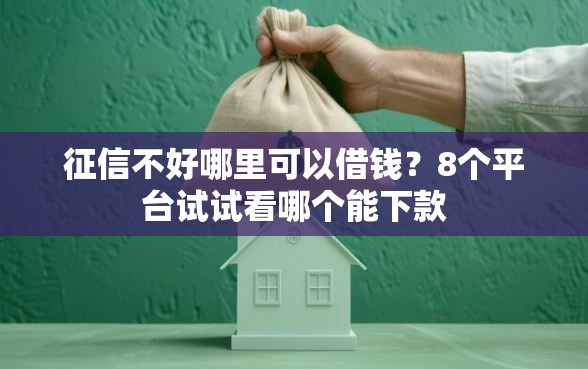征信不好哪里可以借钱？8个平台试试看哪个能下款
