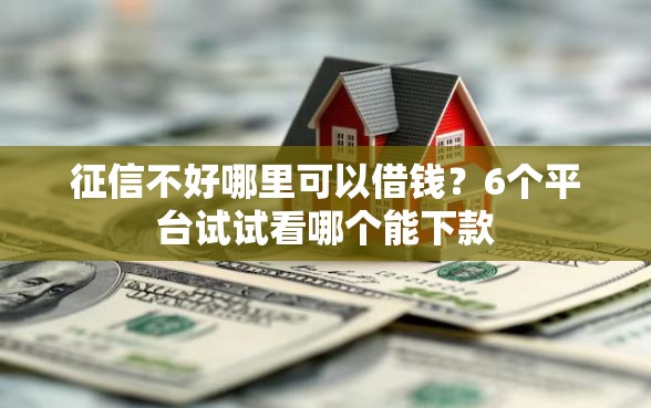征信不好哪里可以借钱？6个平台试试看哪个能下款