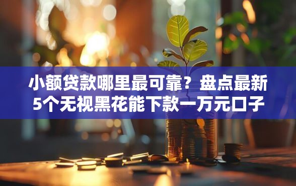 小额贷款哪里最可靠？盘点最新5个无视黑花能下款一万元口子