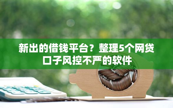 新出的借钱平台?整理5个网贷口子风控不严的软件 新出的借钱平台?整理5个网贷口子风控不严的软件