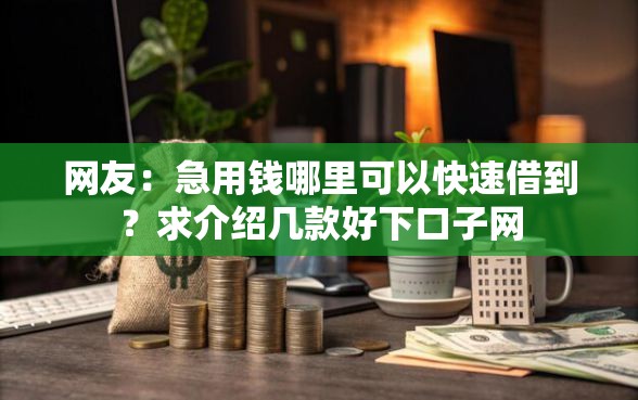 网友：急用钱哪里可以快速借到？求介绍几款好下口子网