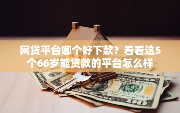 网贷平台哪个好下款？看看这5个66岁能贷款的平台怎么样