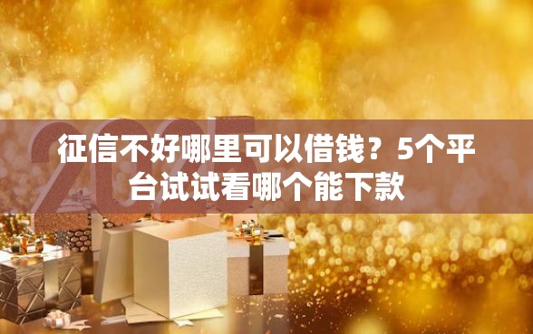 征信不好哪里可以借钱？5个平台试试看哪个能下款