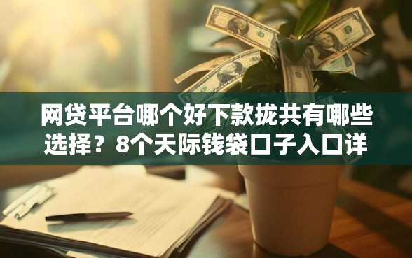 网贷平台哪个好下款拢共有哪些选择？8个天际钱袋口子入口详解