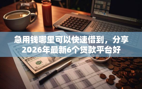 急用钱哪里可以快速借到，分享2026年最新6个贷款平台好