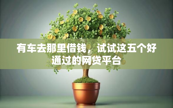 有车去那里借钱，试试这五个好通过的网贷平台