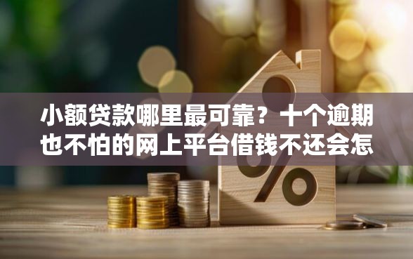 小额贷款哪里最可靠？十个逾期也不怕的网上平台借钱不还会怎样