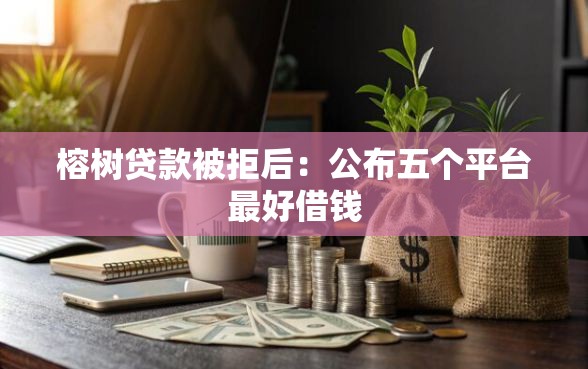 榕树贷款被拒后：公布五个平台最好借钱