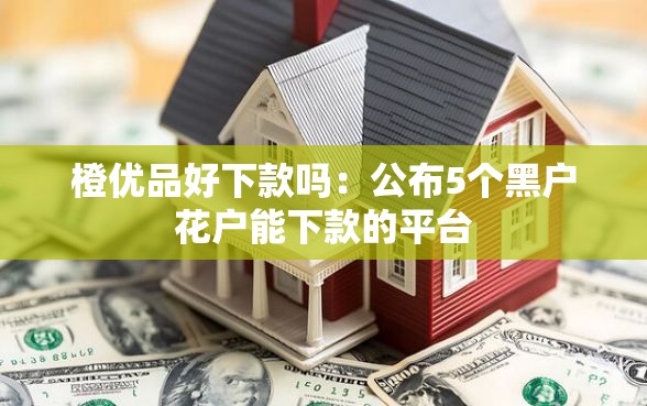 橙优品好下款吗：公布5个黑户花户能下款的平台