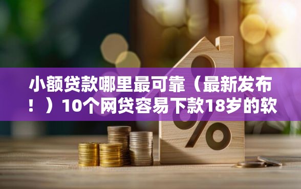 小额贷款哪里最可靠（最新发布！）10个网贷容易下款18岁的软件