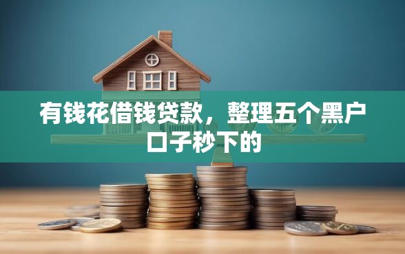 有钱花借钱贷款，整理五个黑户口子秒下的