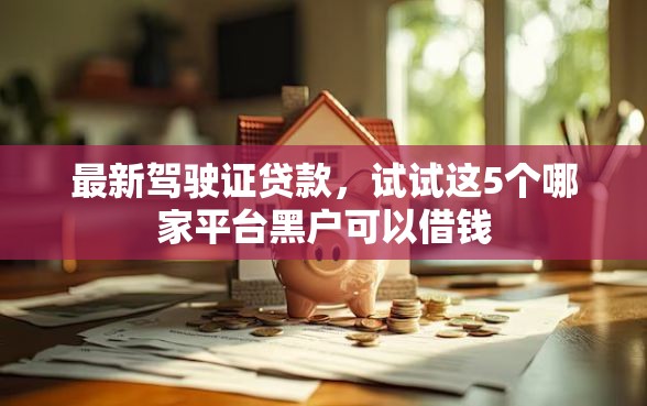 最新驾驶证贷款，试试这5个哪家平台黑户可以借钱