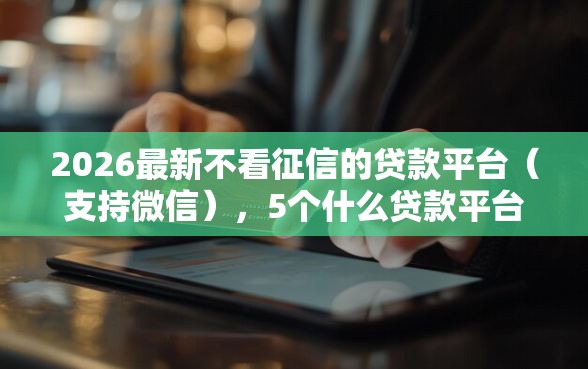 2026最新不看征信的贷款平台（支持微信），5个什么贷款平台不上征信无私分享