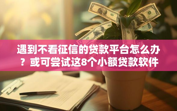 遇到不看征信的贷款平台怎么办？或可尝试这8个小额贷款软件