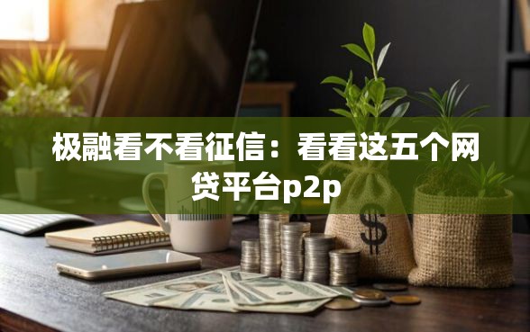 极融看不看征信：看看这五个网贷平台p2p