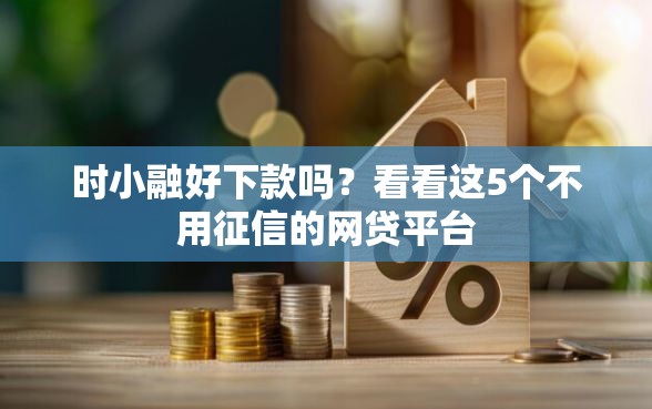时小融好下款吗？看看这5个不用征信的网贷平台