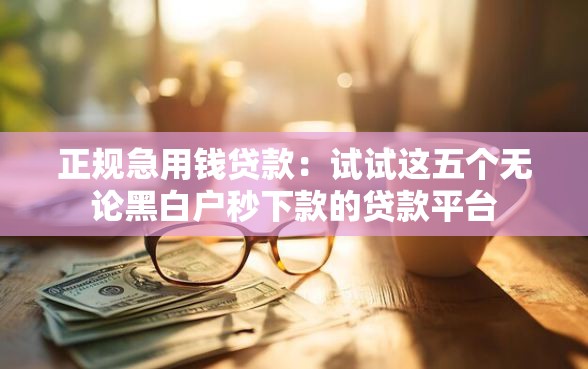 正规急用钱贷款：试试这五个无论黑白户秒下款的贷款平台