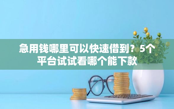 急用钱哪里可以快速借到？5个平台试试看哪个能下款