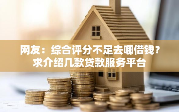 网友：综合评分不足去哪借钱？求介绍几款贷款服务平台
