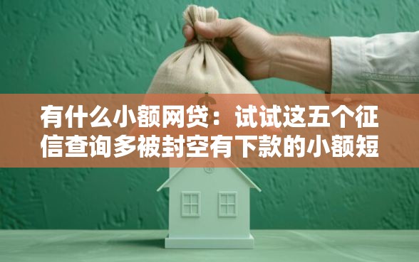 有什么小额网贷：试试这五个征信查询多被封空有下款的小额短期网贷口子