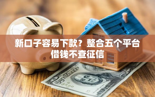 新口子容易下款？整合五个平台借钱不查征信