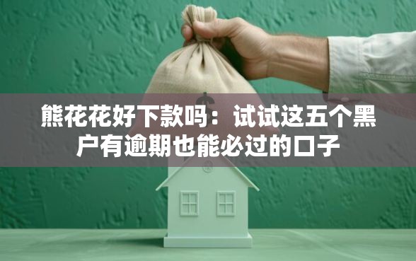 熊花花好下款吗：试试这五个黑户有逾期也能必过的口子