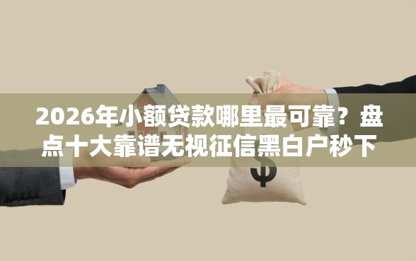 2026年小额贷款哪里最可靠？盘点十大靠谱无视征信黑白户秒下款的贷款