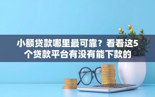小额贷款哪里最可靠？看看这5个贷款平台有没有能下款的
