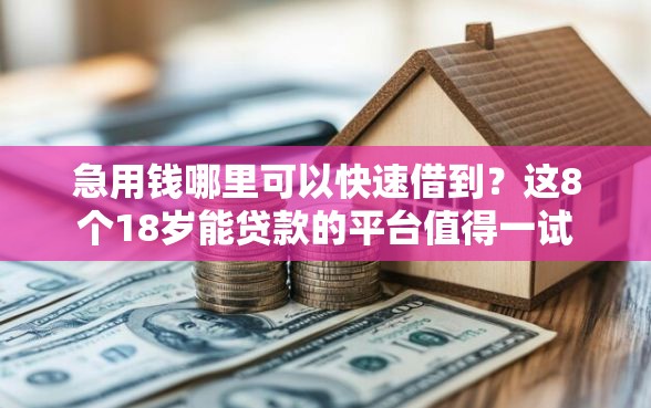 急用钱哪里可以快速借到？这8个18岁能贷款的平台值得一试