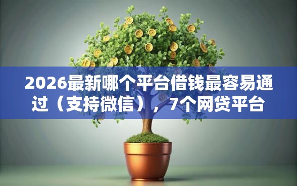 2026最新哪个平台借钱最容易通过（支持微信），7个网贷平台投诉举报电话无私分享