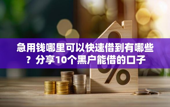 急用钱哪里可以快速借到有哪些？分享10个黑户能借的口子