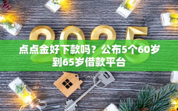 点点金好下款吗？公布5个60岁到65岁借款平台