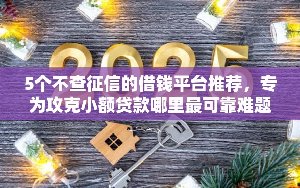 5个不查征信的借钱平台推荐，专为攻克小额贷款哪里最可靠难题