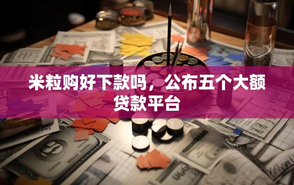 米粒购好下款吗，公布五个大额贷款平台