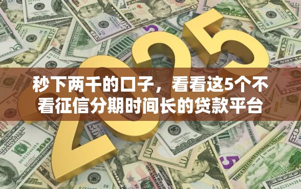 秒下两千的口子，看看这5个不看征信分期时间长的贷款平台