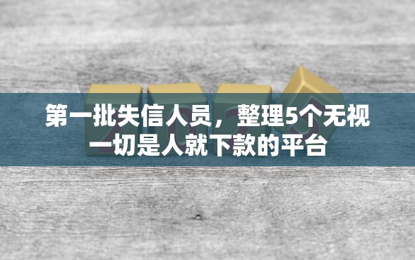 第一批失信人员，整理5个无视一切是人就下款的平台