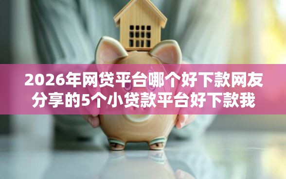 2026年网贷平台哪个好下款网友分享的5个小贷款平台好下款我觉得不错！