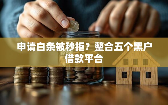 申请白条被秒拒？整合五个黑户借款平台