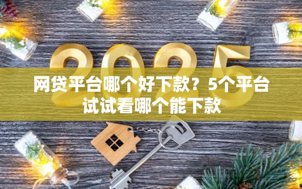 网贷平台哪个好下款？5个平台试试看哪个能下款