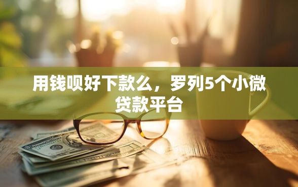 用钱呗好下款么，罗列5个小微贷款平台