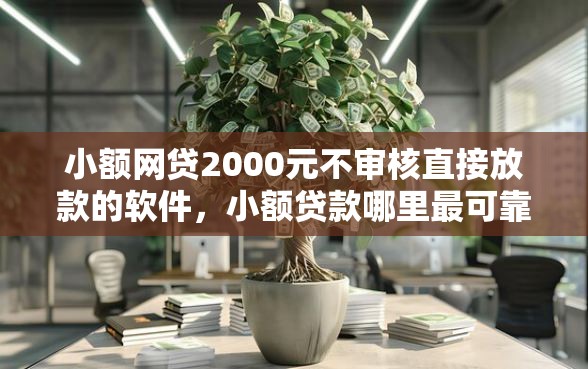 小额网贷2000元不审核直接放款的软件，小额贷款哪里最可靠的8个平台介绍