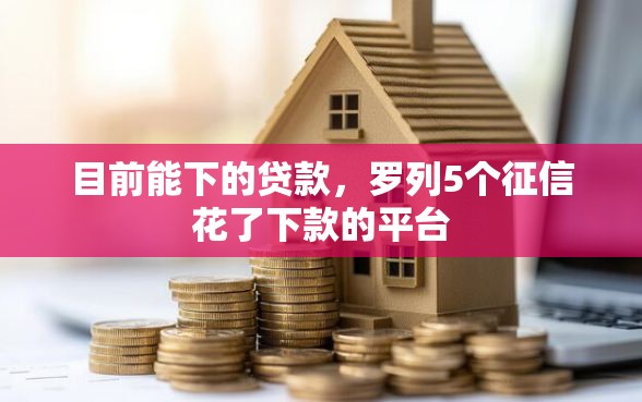 目前能下的贷款，罗列5个征信花了下款的平台