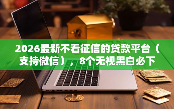 2026最新不看征信的贷款平台（支持微信），8个无视黑白必下款的网贷平台无私分享
