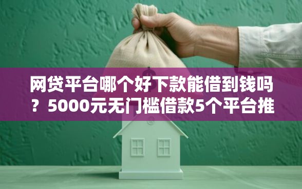网贷平台哪个好下款能借到钱吗？5000元无门槛借款5个平台推荐