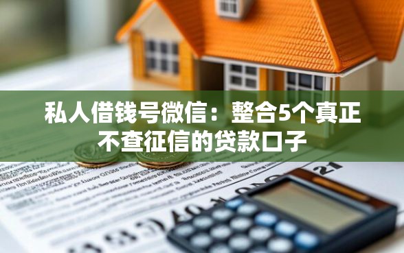 私人借钱号微信：整合5个真正不查征信的贷款口子