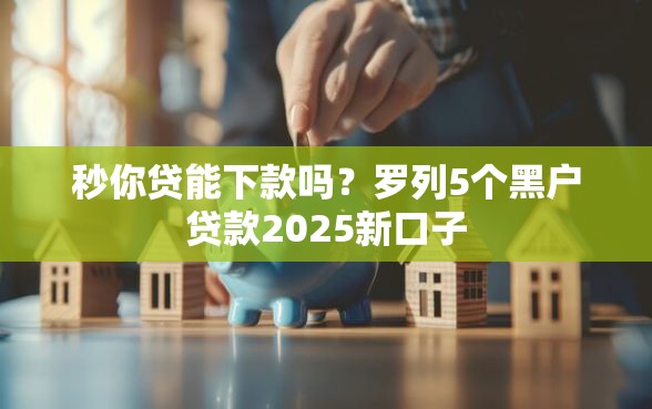 秒你贷能下款吗？罗列5个黑户贷款2025新口子