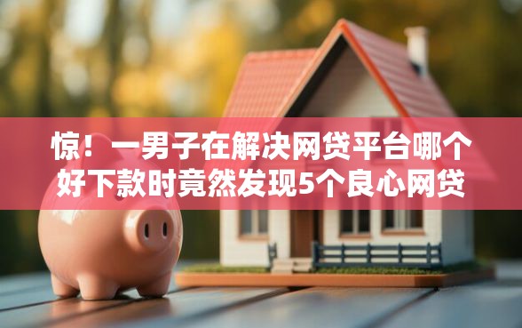 惊！一男子在解决网贷平台哪个好下款时竟然发现5个良心网贷平台，事后分享了出来