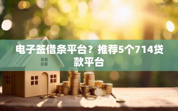 电子签借条平台？推荐5个714贷款平台