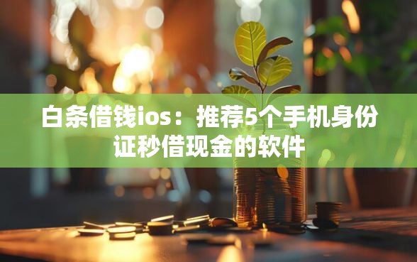 白条借钱ios：推荐5个手机身份证秒借现金的软件