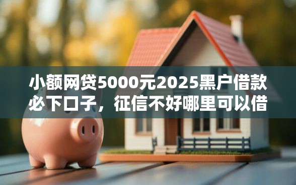 小额网贷5000元2025黑户借款必下口子，征信不好哪里可以借钱的6个平台介绍